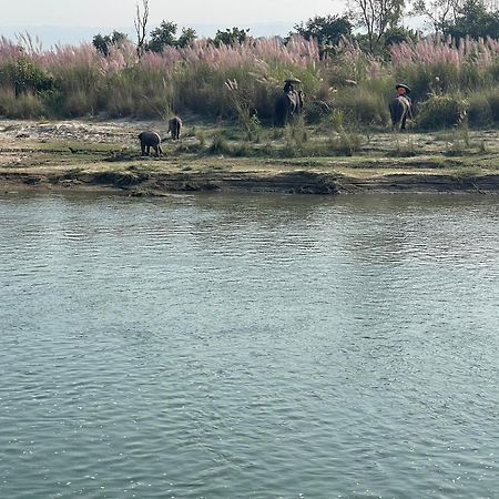 Chitwan Riverside Resort Саураха Екстер'єр фото