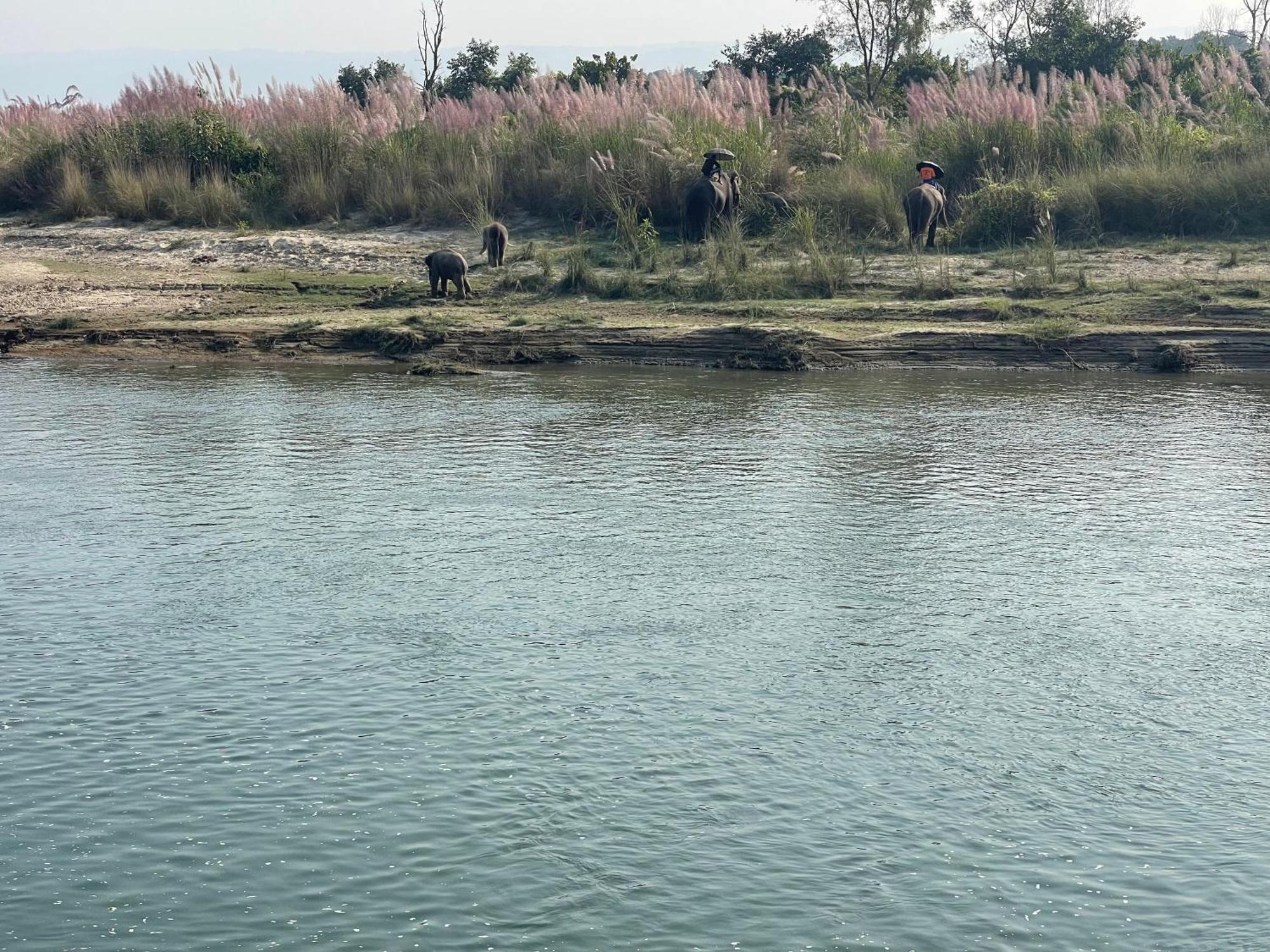 Chitwan Riverside Resort Саураха Екстер'єр фото