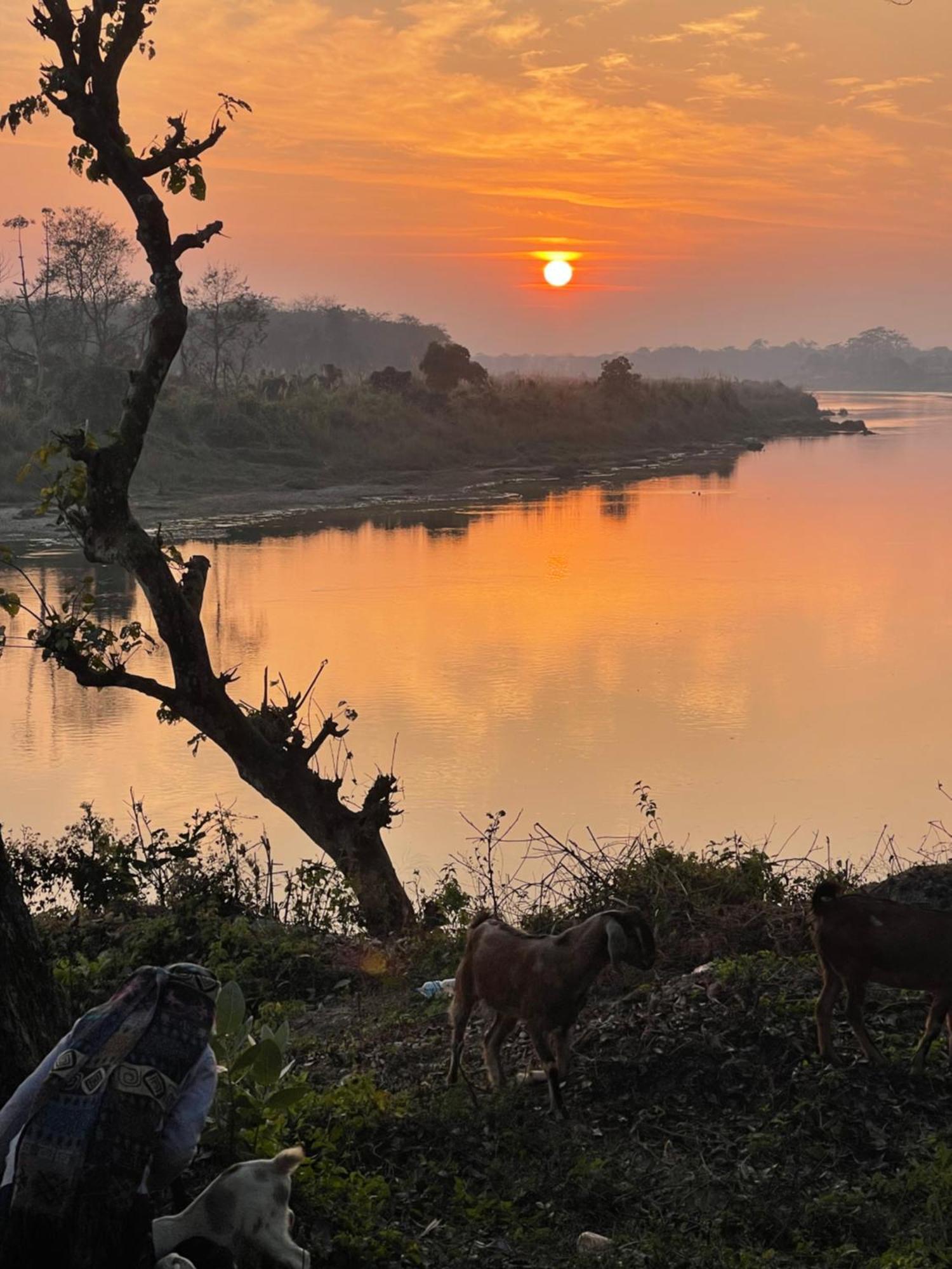 Chitwan Riverside Resort Саураха Екстер'єр фото